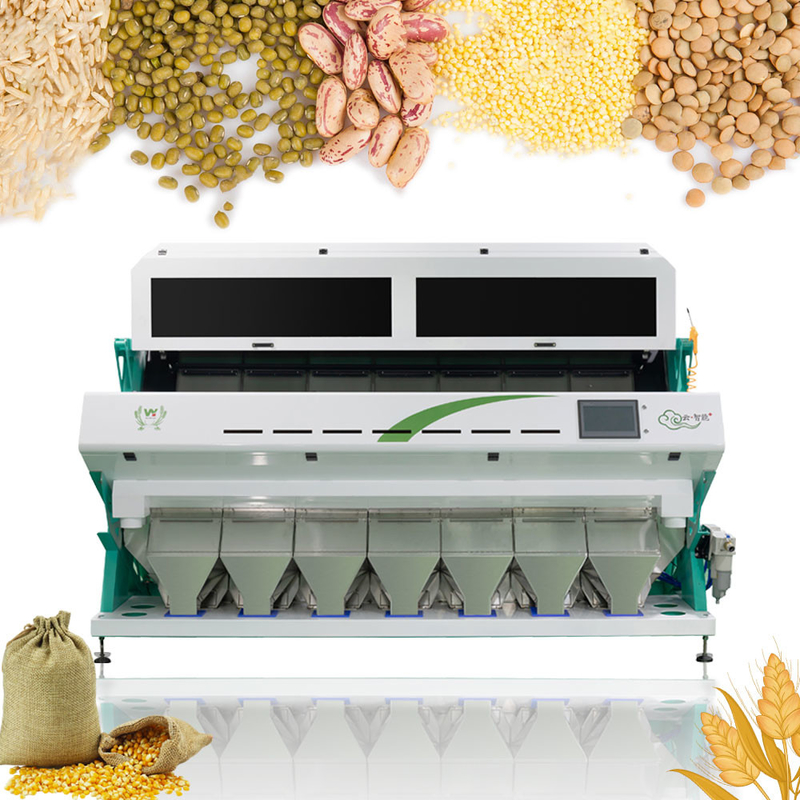 Linha de processamento automática máquina da exploração agrícola de 7 rampas de classificação usada da cor da cevada do trigo com câmera de Toshiba