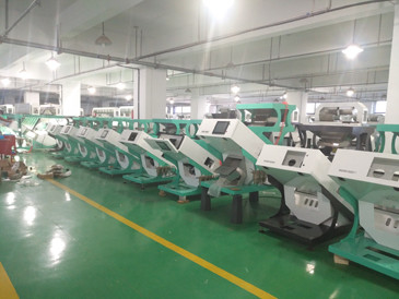320 máquina de classificação ótica do trigo da câmera do CCD da taxa de transferência dos canais 2-6T/H