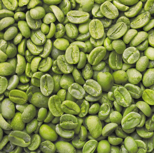 Máquina Multifunction original do classificador da cor da venda direta da fábrica de China para a terra