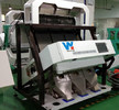 Da máquina plástica do classificador da cor do ANIMAL DE ESTIMAÇÃO do PPS máquina de envolvimento plástica com funil de alimentação