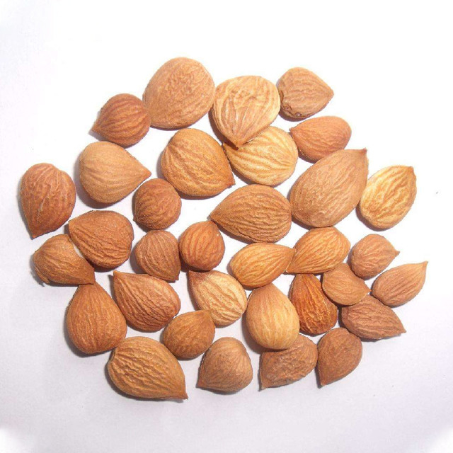 Máquina do classificador da cor da amêndoa do conjunto completo do fornecedor da qualidade de China para a planta de alimento