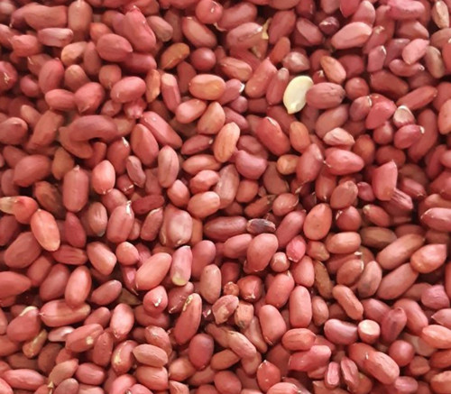O diodo emissor de luz do CCD de WENYAO ilumina porcas que os amendoins colorem a máquina do classificador para a planta de alimento