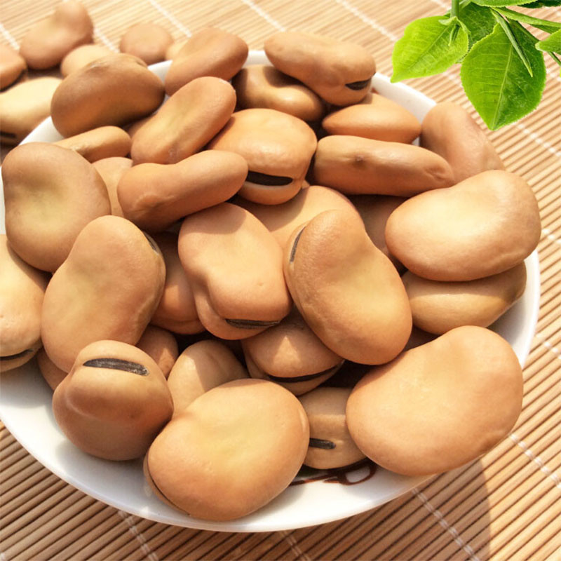 Os feijões óticos espertos das porcas do CCD colorem a máquina de classificação para a planta de alimento