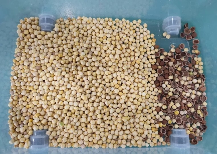 Rampas descascadas do CCD 5 da máquina de classificação da cor da passa da noz da amêndoa do amendoim