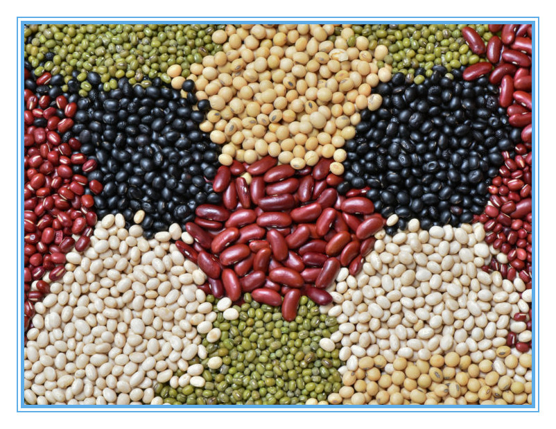 Computação automática do classificador Multifunction da cor do arroz do trigo do Quinoa do milho