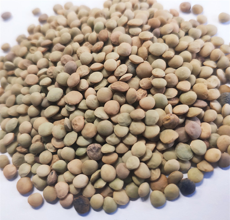 Computação automática do classificador Multifunction da cor do arroz do trigo do Quinoa do milho