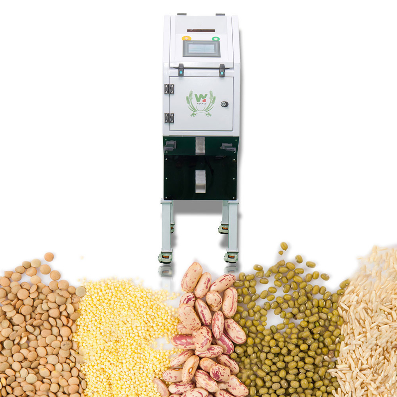 300 - 1000kg/H desidratou a máquina de classificação vegetal usada para a terra
