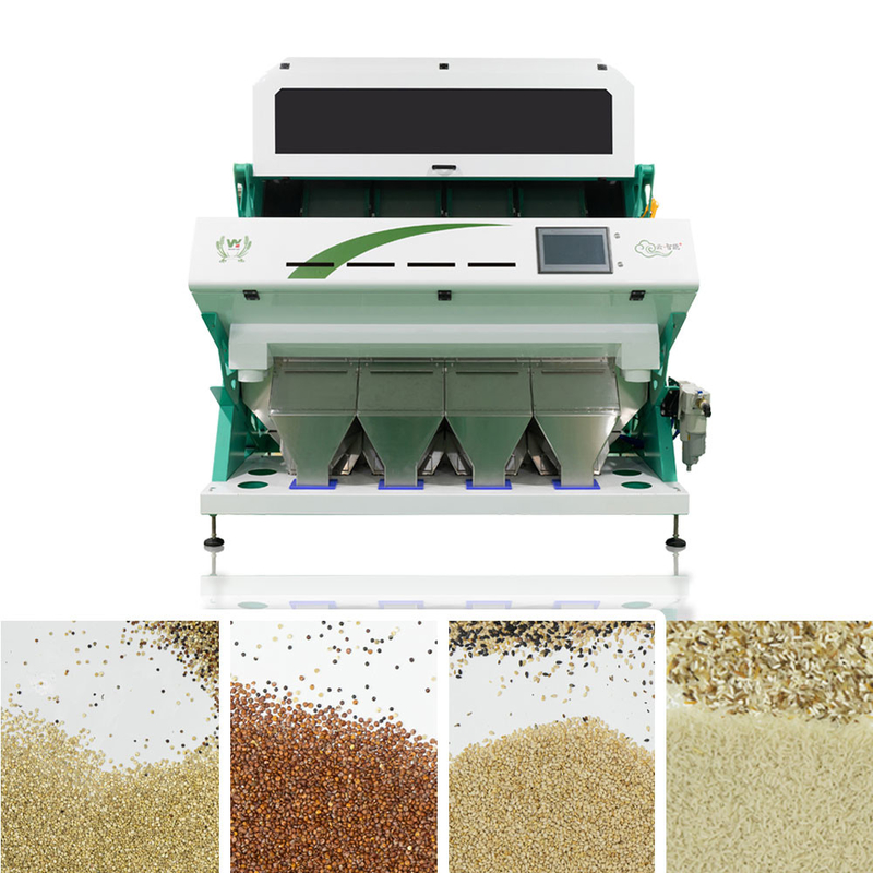 WENYao 4 rampas 256 canaliza a máquina de classificação da cor do arroz integral de preço de fábrica