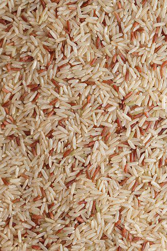 WENYao 4 rampas 256 canaliza a máquina de classificação da cor do arroz integral de preço de fábrica