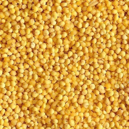 As rampas 384 de WENYAO 6 canalizam a máquina de classificação ótica da cor do painço do de alta capacidade do CCD