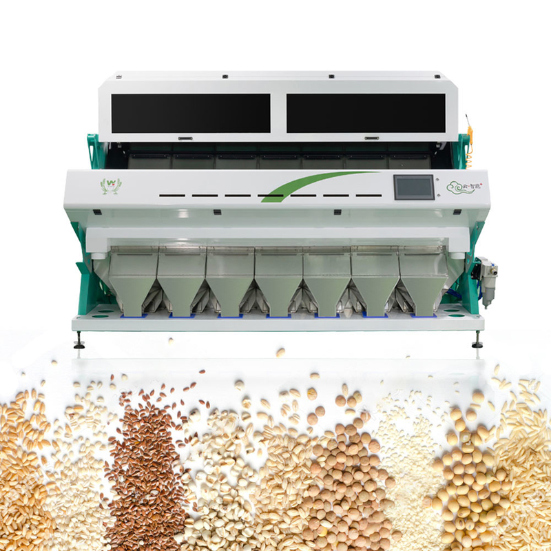 máquina chinesa totalmente automático inteligente do classificador da cor do sorgo 7Chute 70 toneladas pelo dia