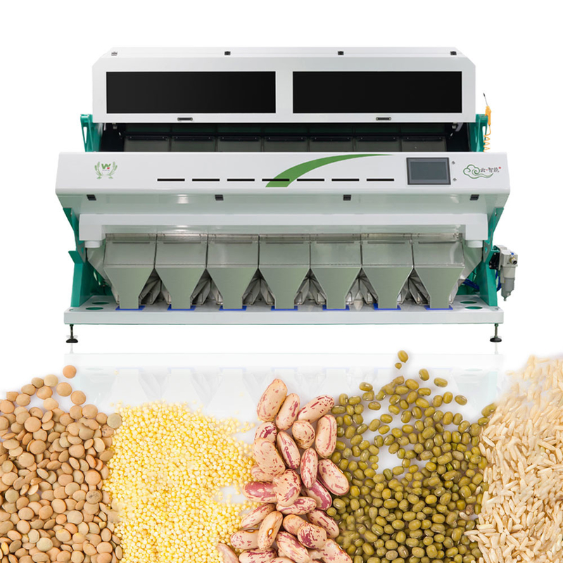 máquina chinesa totalmente automático inteligente do classificador da cor do sorgo 7Chute 70 toneladas pelo dia