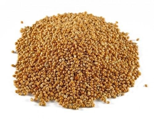 Classificador orgânico automático inteligente da cor do arroz de 7 canais 80 toneladas pela máquina de classificação da cor do dia