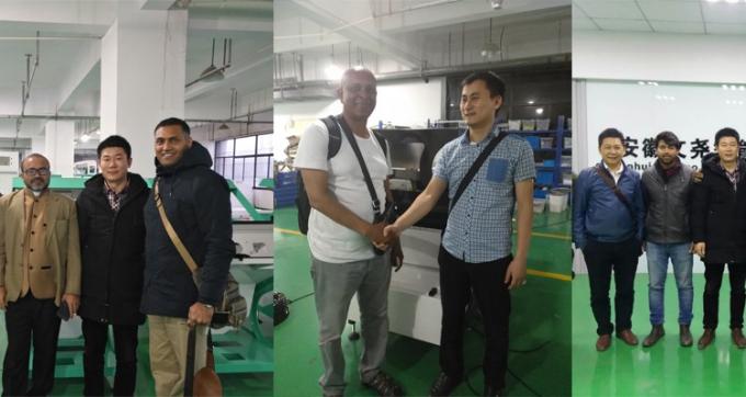 100-900KG/H Máquina de seleção Cor para Macadamia Nut Wanlut Hasel Nut 8