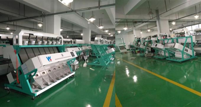 100-900KG/H Máquina de seleção Cor para Macadamia Nut Wanlut Hasel Nut 7