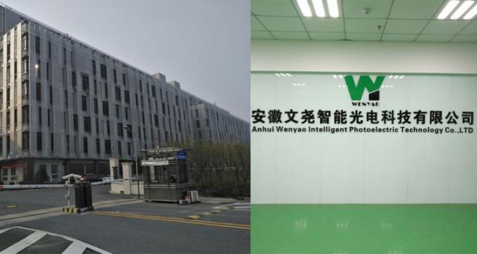 100-900KG/H Máquina de seleção Cor para Macadamia Nut Wanlut Hasel Nut 6