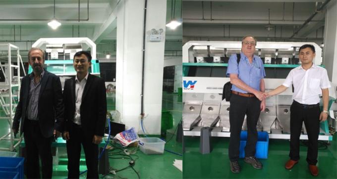 100-900KG/H Máquina de seleção Cor para Macadamia Nut Wanlut Hasel Nut 9