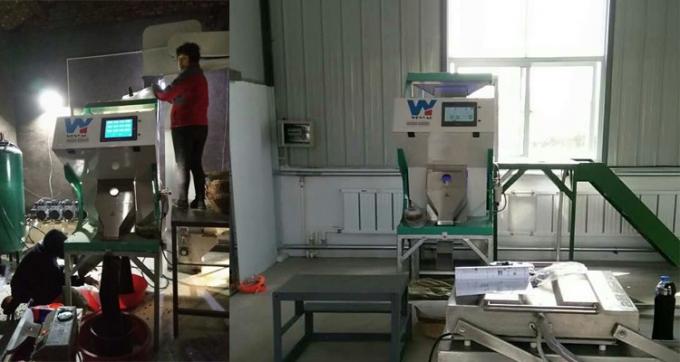 220V / 50Hz Wenyao máquina de triagem de cores para feijão de café cereja 11