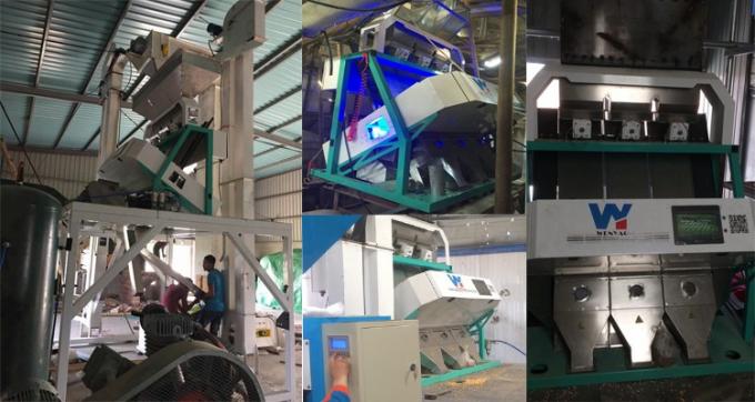 220V / 50Hz Wenyao máquina de triagem de cores para feijão de café cereja 12