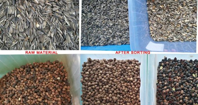 220V / 50Hz Wenyao máquina de triagem de cores para feijão de café cereja 5