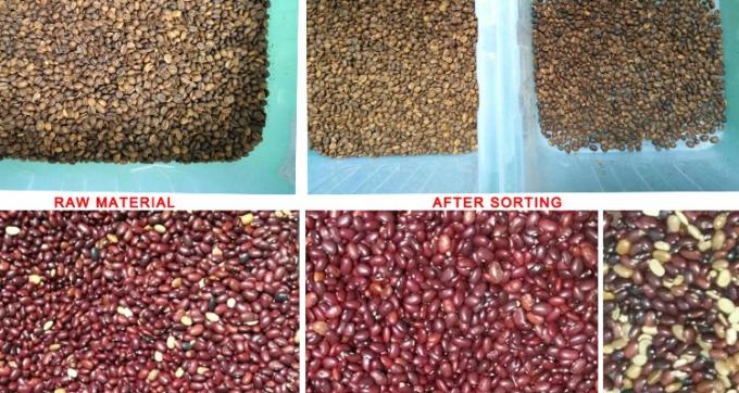 220V / 50Hz Wenyao máquina de triagem de cores para feijão de café cereja 6