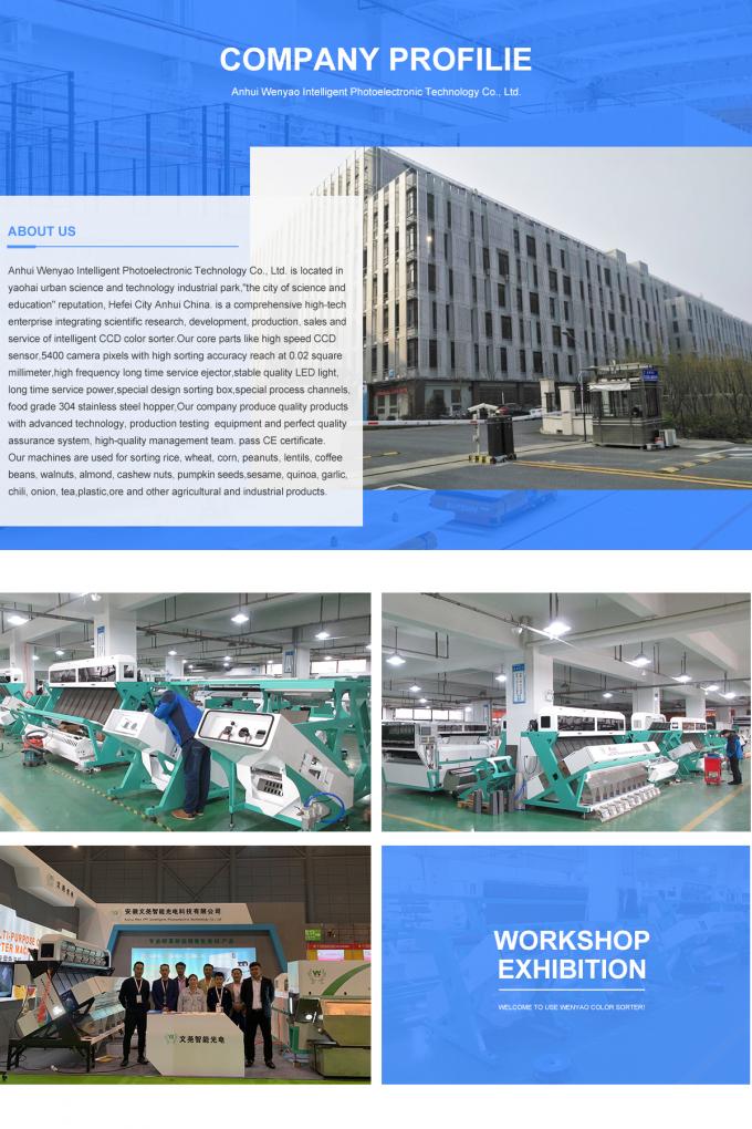 Máquina de classificação de cores de frutas e vegetais para processamento agrícola 25