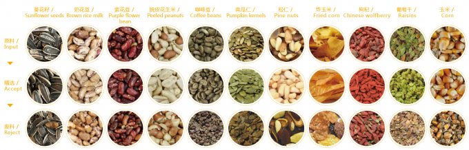 Máquina de classificação de cores de frutas e vegetais para processamento agrícola 4
