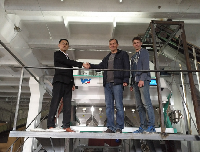 Máquina de classificação de cores de frutas e vegetais para processamento agrícola 18