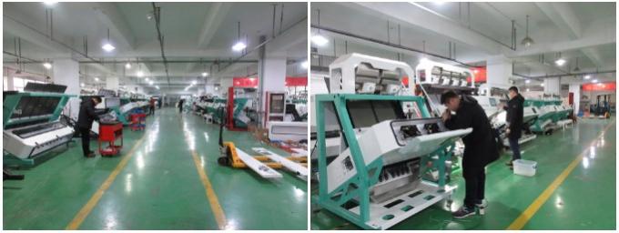 Máquina de classificação de cores de frutas e vegetais para processamento agrícola 26