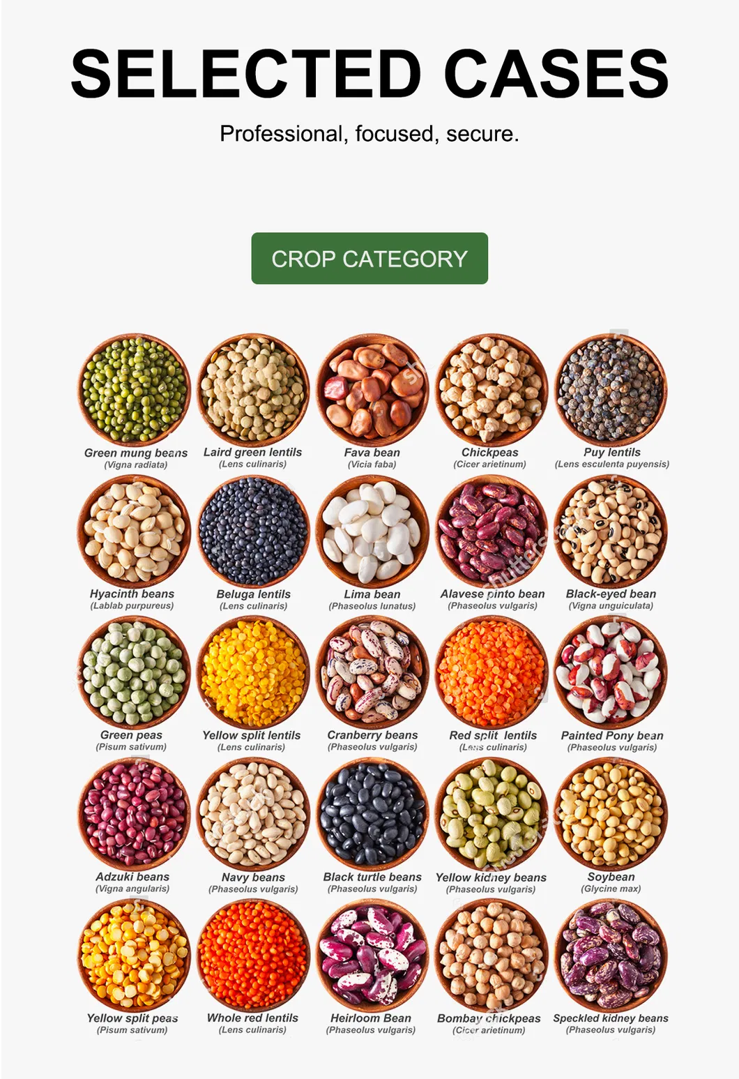 Máquina de triagem de cor de sorgo de arroz de alta pureza Wenyao 2