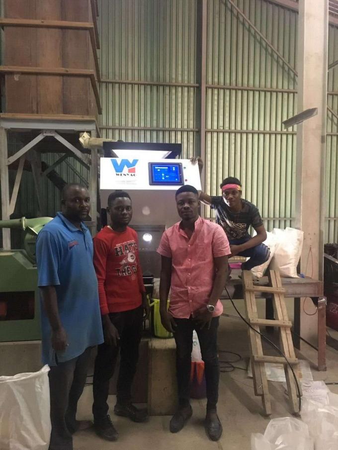 Máquina de triagem óptica de chá para processamento de chá 10