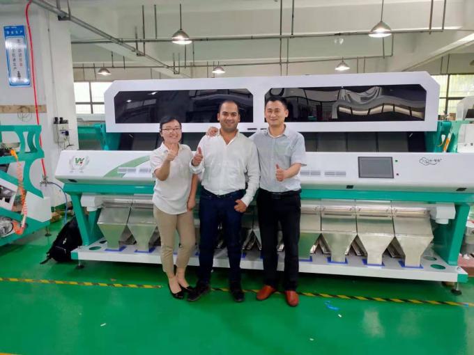 Máquina de Classificação de Cores Wenyao Full Automatic 3 Chutes para Soja, Feijão Largo e Feijão Rim 15
