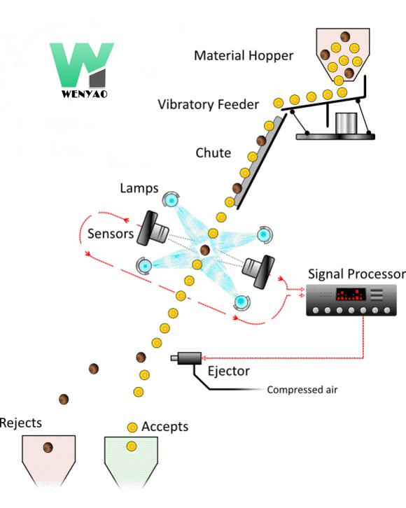 Wenyao 5 Chute Multifunção Máquina de Seleção de Cor Óptica de Grãos de Café 1