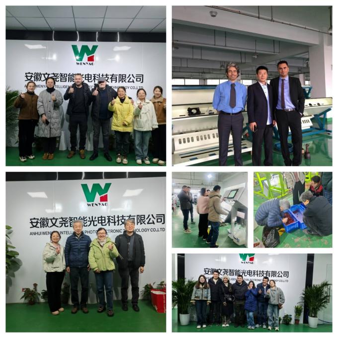 Precisão Separador de goma de pêssego Máquina de classificação de cor de goma de olibanum árabe 19