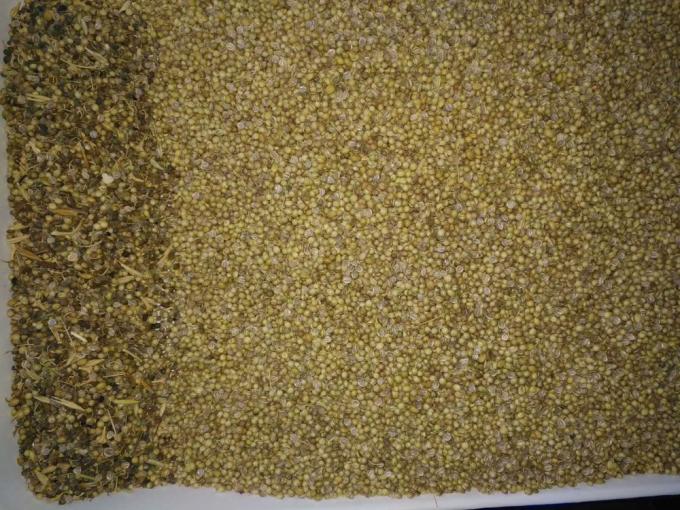 Pequena máquina de classificação de cores de sementes ópticas com bom desempenho de limpeza de sementes 3