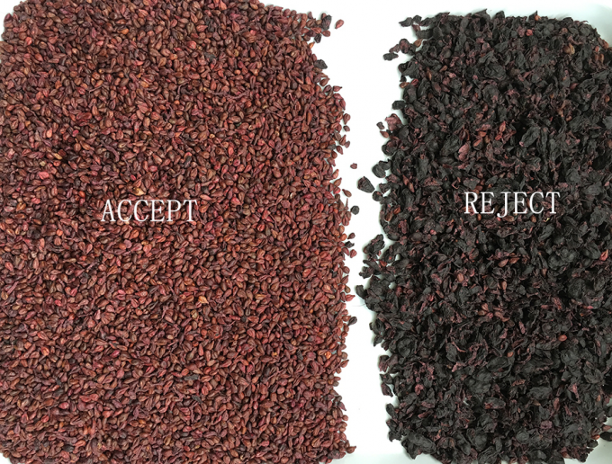 Máquina de classificação de cores de passas com certificação CE 2