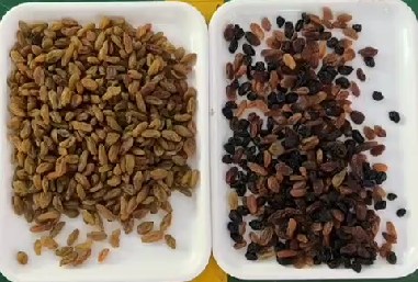 Máquina de classificação de cores de passas com certificação CE 3