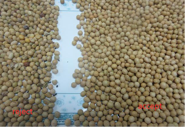 Separador de cores inteligente CCD Câmera Cereais Arroz Soja Color Sorter para Agricultura 4