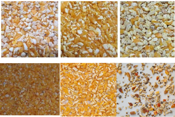 Mini CCD Low Cost Camera Corn Color Sorter Wheat Rice Sorting Machine para Agricultura 3