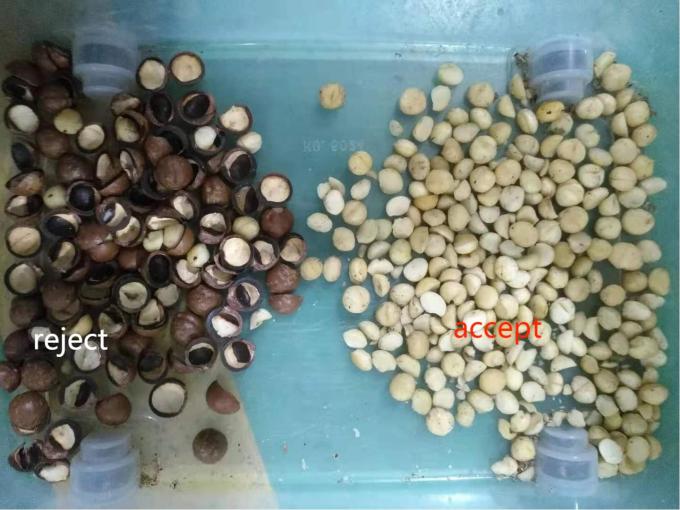 2025 Venda Quente Preço de fábrica CCD Nuts Color Sorter Macadamia Nuts Equipamento de Separação com CE 3