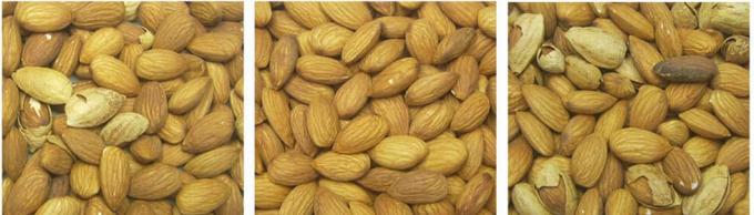 AI Aprendizagem Cinturão Inteligente Estilo Amendoim Nozes Pistache Nozes Color Sorter Machine 13