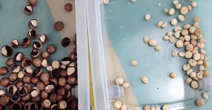 AI Aprendizagem Cinturão Inteligente Estilo Amendoim Nozes Pistache Nozes Color Sorter Machine 14