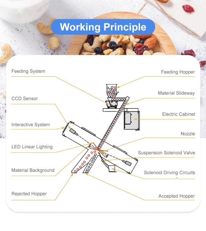 Wenyao 2 Chute 128 canais Máquina de seleção de cores de grânulos de coco inteligentes 4