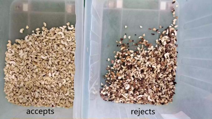 Máquina de classificação de cores de castanha de caju inteligente com sensor Toshiba CCD e câmera RGB 6