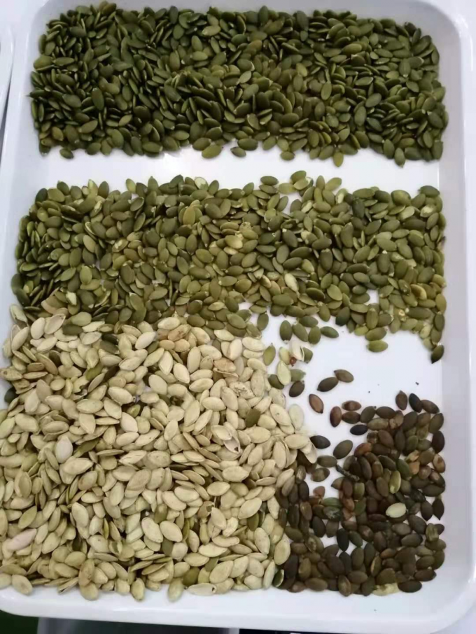 Wenyao mais novo certificado óptico CE sementes de abóbora sementes de melancia máquina de classificação de cores 11