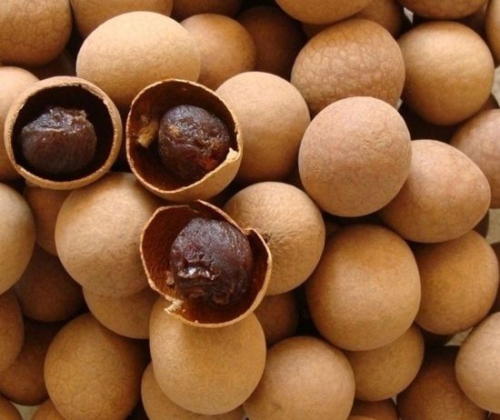 WENYAO Mini Chute Frutas desidratadas Máquina de triagem óptica Abricóis secos Pêssego Maçãs Colour Sorter Remover Estambos Molde de talco 10