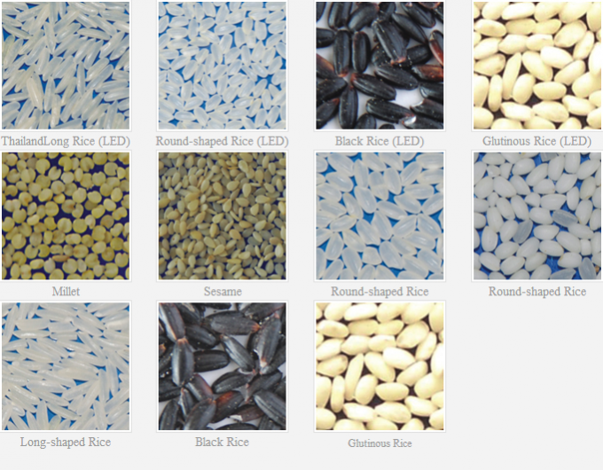 Wenyao Intelligent Factory Venda direta Rins Feijão Amendoim Grão de bico Máquina de Classificação de Cor 9