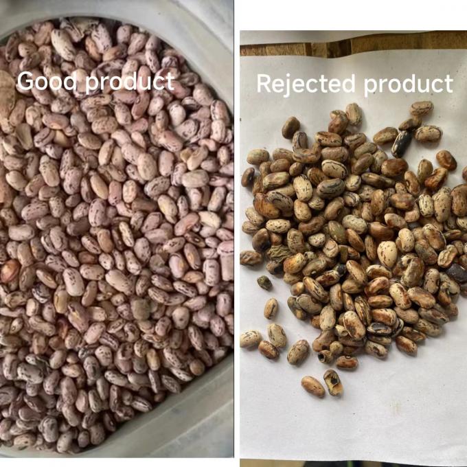 Wenyao preço de fábrica chinês totalmente automático feijão vermelho Rins feijão máquina de classificação de cores 7