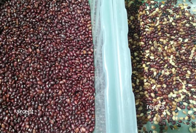 Máquina de triagem de cores ópticas de feijão vermelho 10