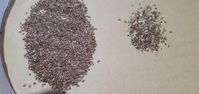 Wenyao 2025 Máquina de classificação de sementes de sementes de linho 13